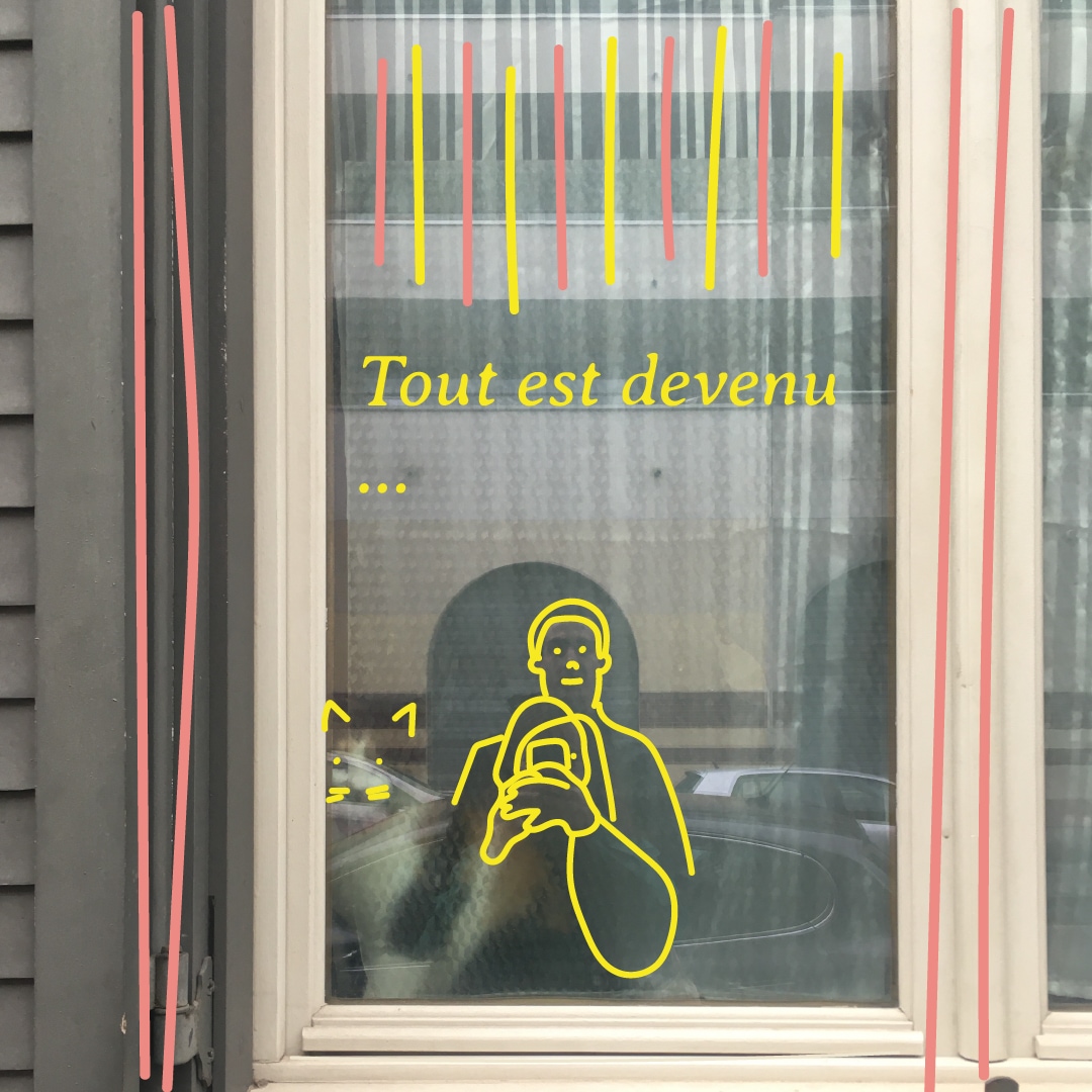 Confinocat-chat-cat-insta