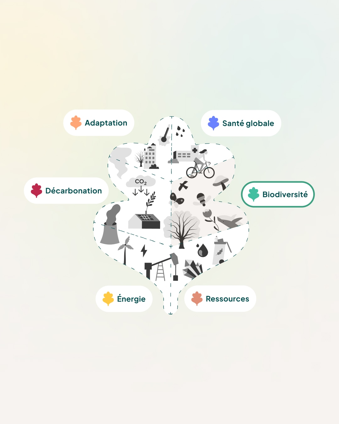 Feuille-offres-quercéo-design