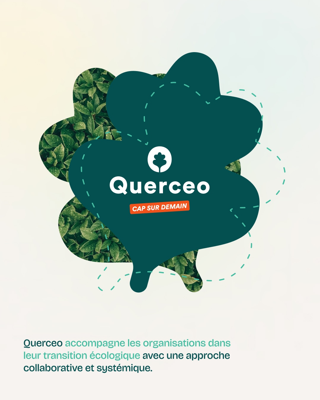 Design et illustration autour du logo de Quercéo
