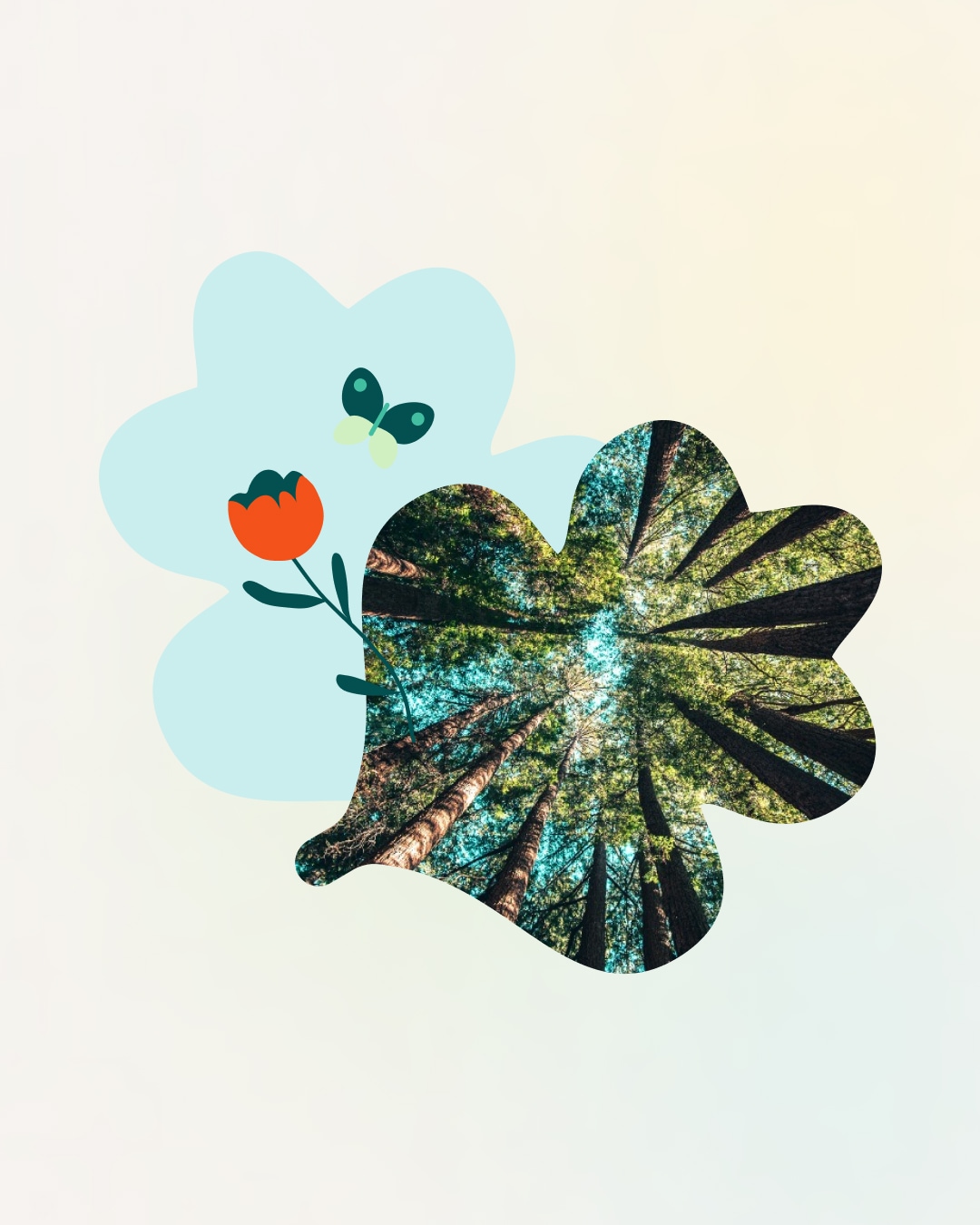 Site vitrine Quercéo - Illustration feuille desig,