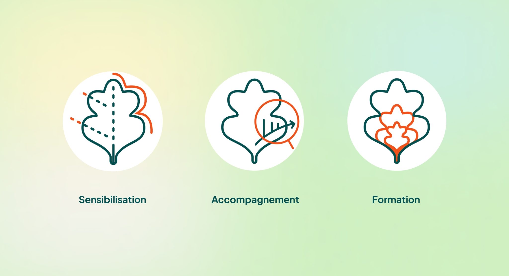 Site vitrine Quercéo - Sensibilisation, accompagnement, formation